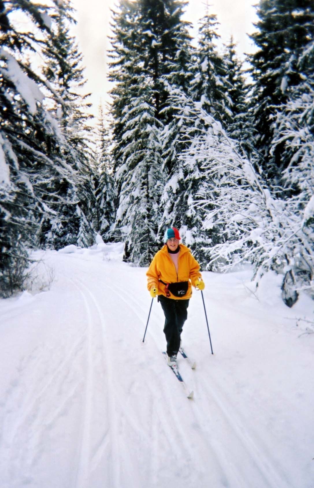 Helmcken Falls Lodge Cabin Rooms And Rv Park Clearwater Luaran gambar